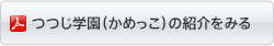 つつじ学園（かめっこ）の紹介をみる